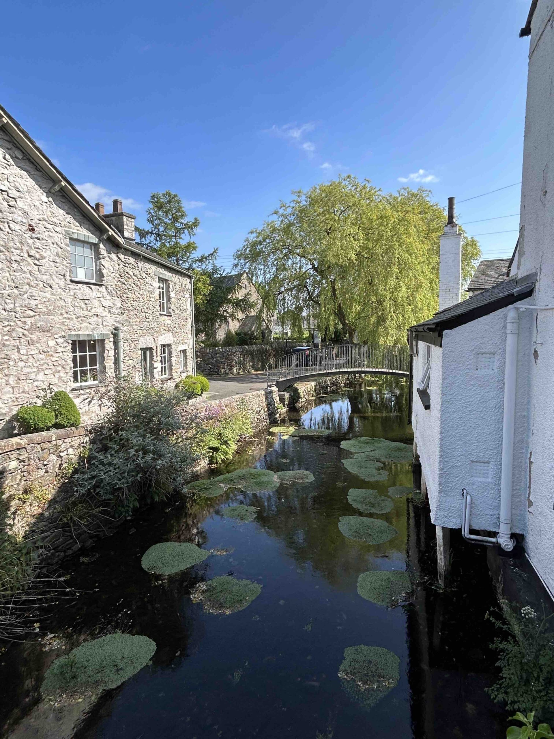 Cartmel summer, c. Lakes PR